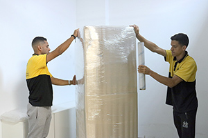 Ideal Mudanças